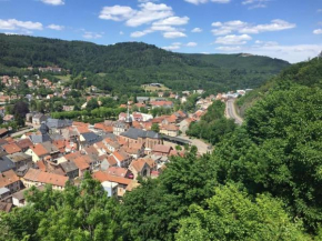 Schirmeck centre appartement au pied du château